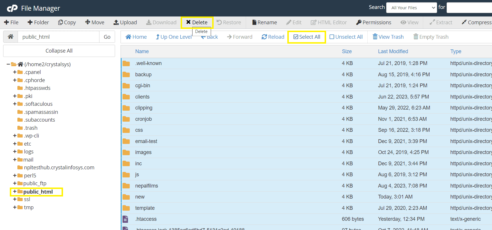 Select all checkbox and delete button